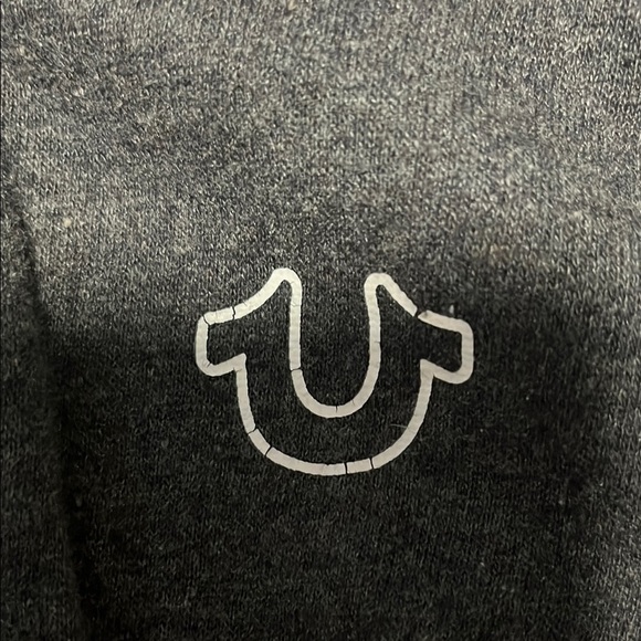 Kids Gray Hoodie by True Religion - Picture 2 of 3